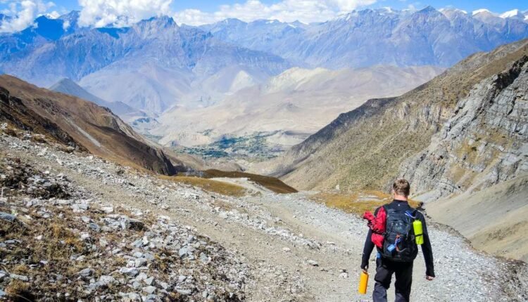 XRP's Price Could Keep Falling as Holders Decrease 10