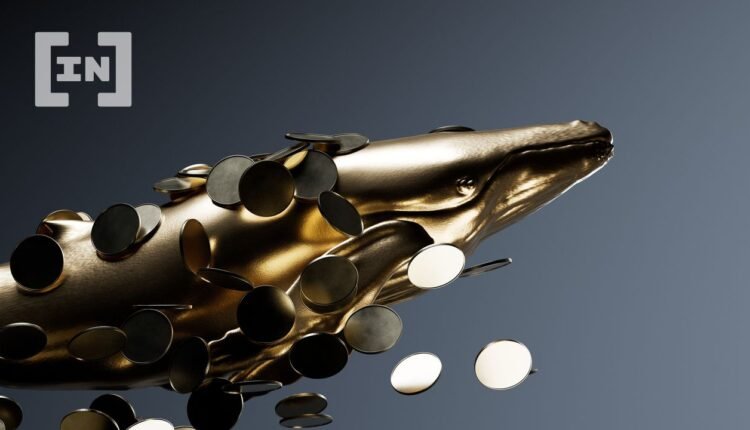 Whales: Why They Need Specialized DeFi Platforms