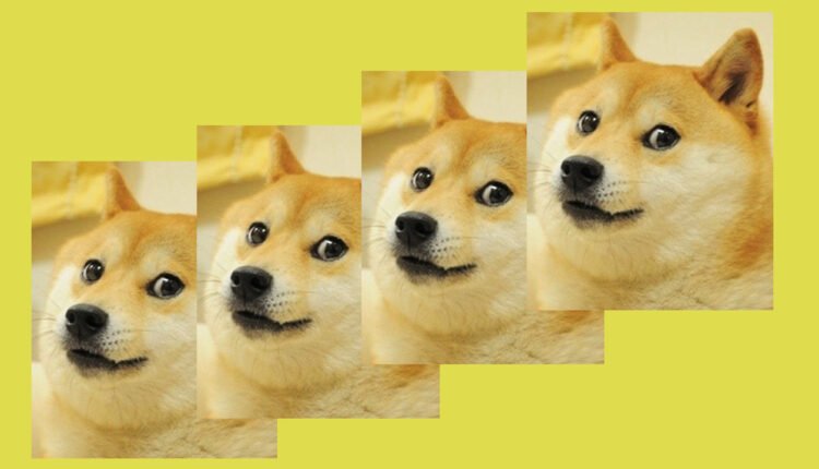 Fractional NFT Markets Slide 76% in Value in 7 Months, Diced-up Doge NFT Still Leads the Pack