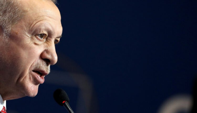 Erdogan Suggests Turkish-Russian Payment System, Local Media Reports