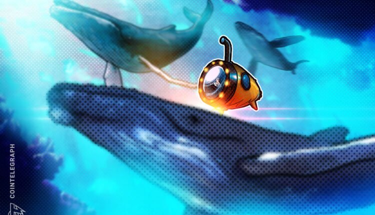 What are crypto whale trackers and how do they work?